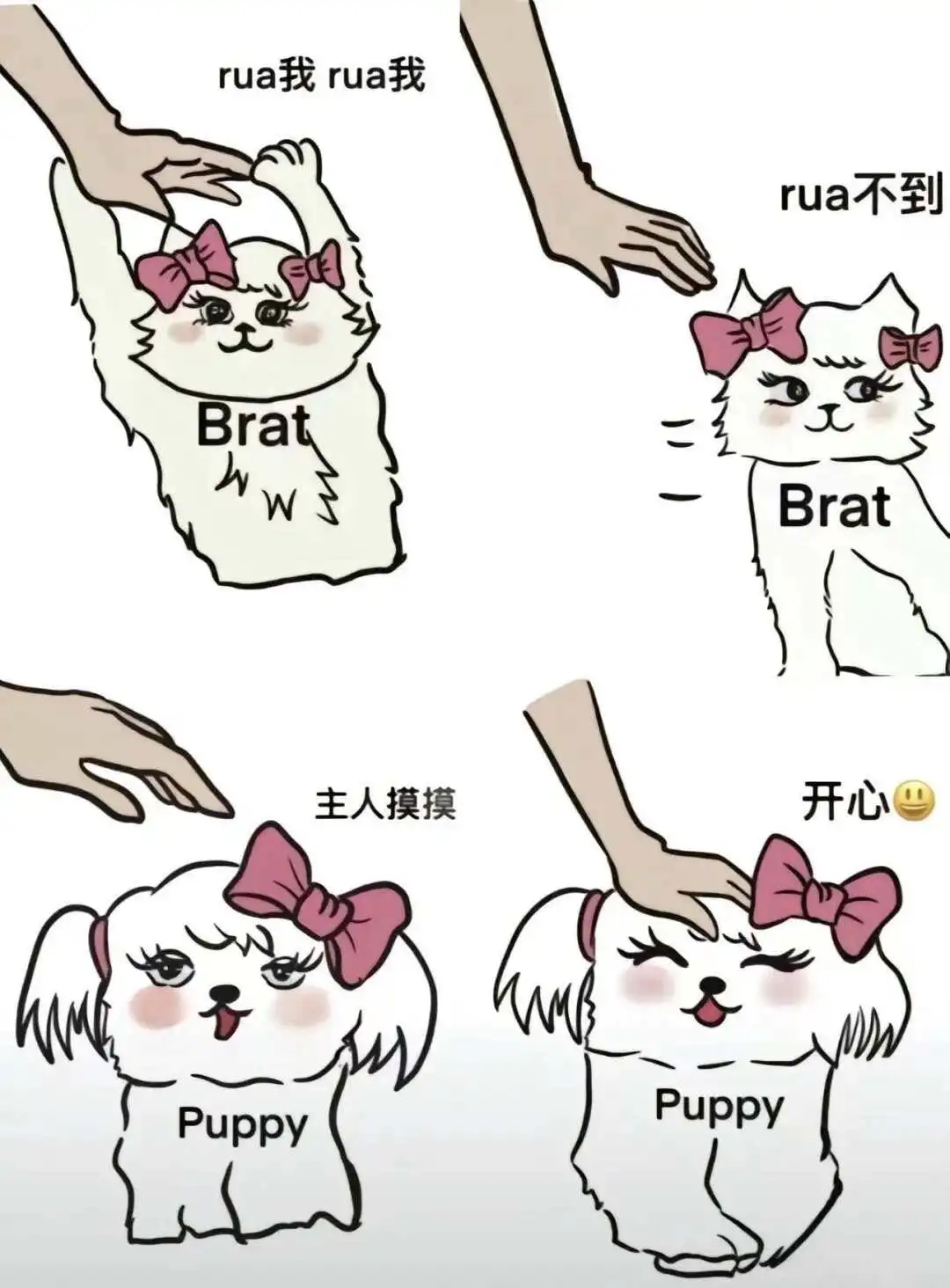 【西檬之家】s属性是什么？字母圈新人入圈必读指南