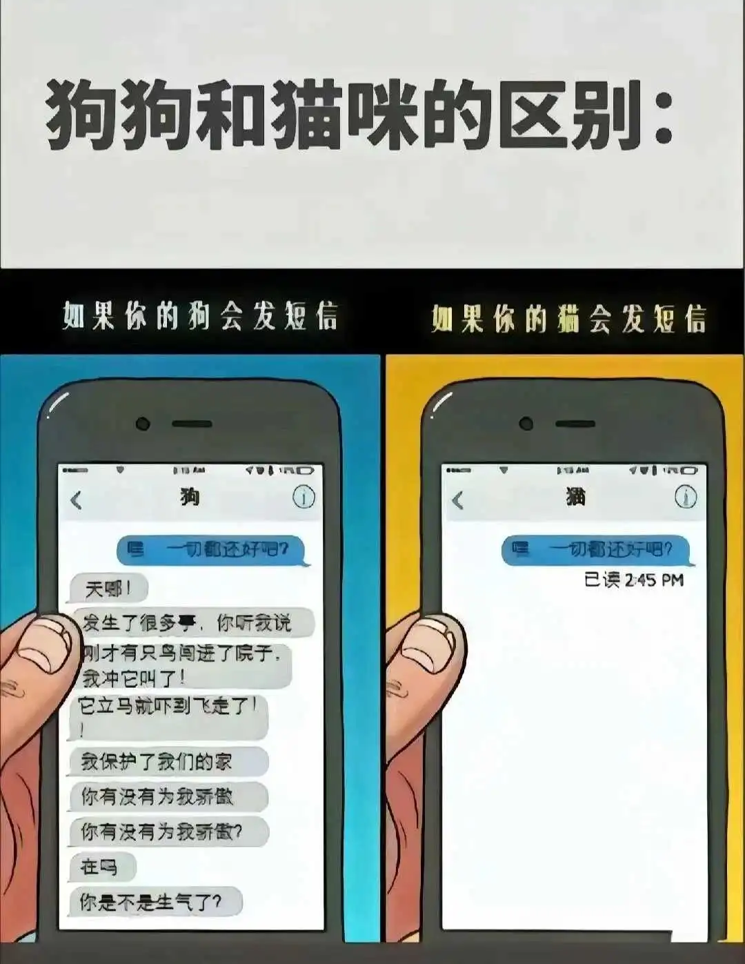 西檬之家-BDSM新人入圈指南：从基础术语到关系建立