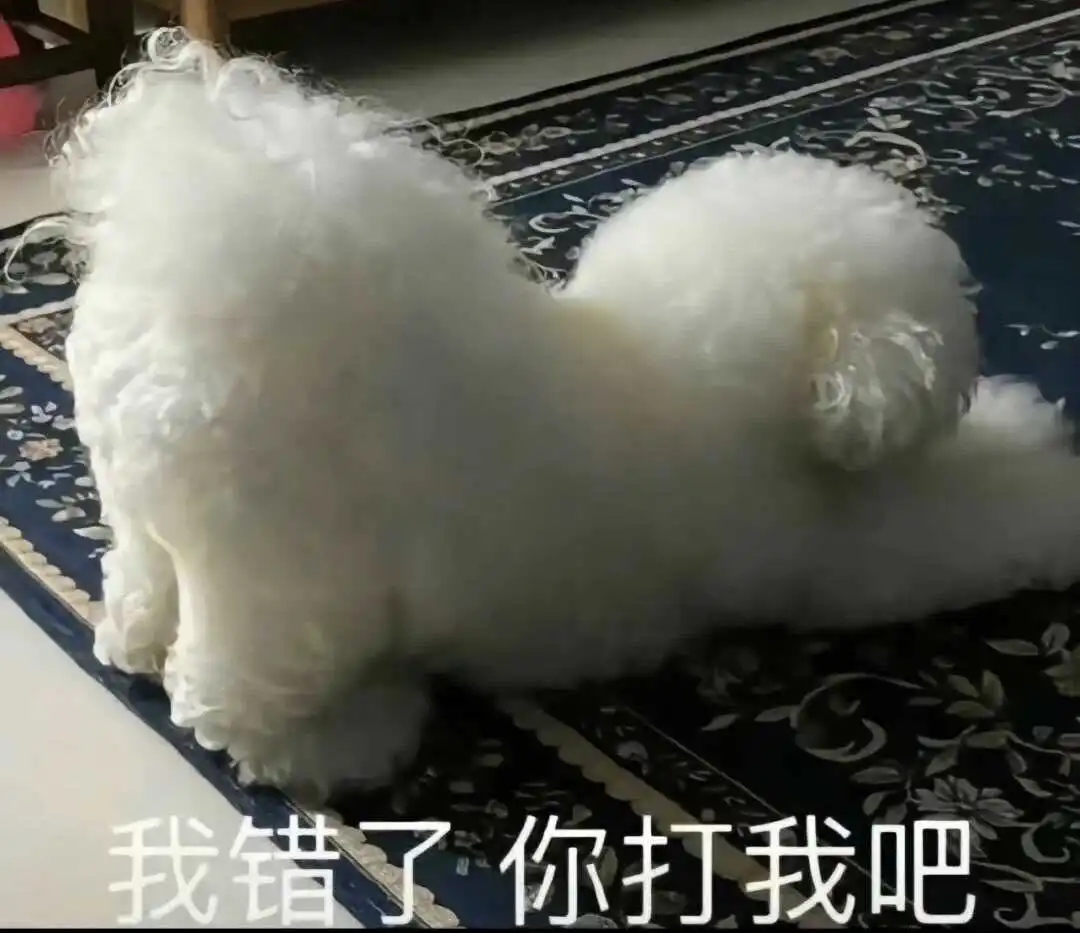 西檬之家-TK是什么？字母圈的挠痒痒实践指南