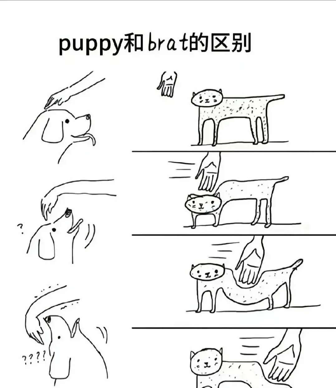 【西檬之家】DS关系详细解析：字母圈新人必备术语指南