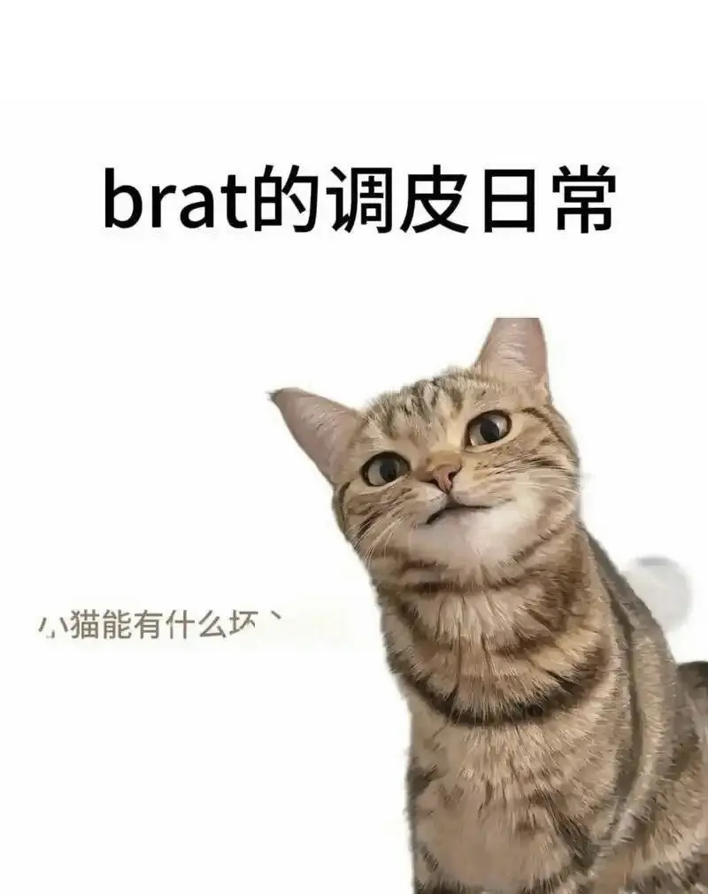 圣水：实用指南