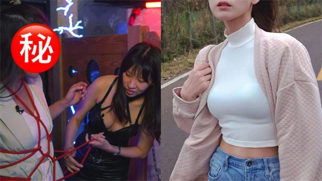 西檬之家-DS关系解析：BDSM中支配与臣服的核心机制与实践