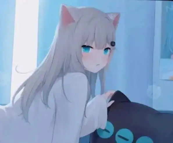 S倾向：实用指南