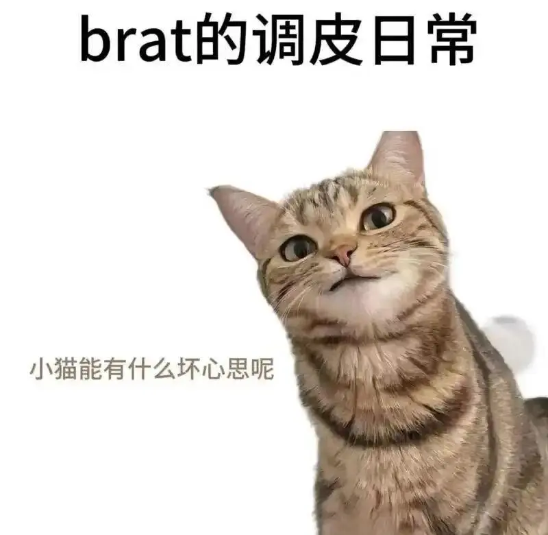 西檬之家-什么是K9犬系？字母圈中的BDSM新玩法
