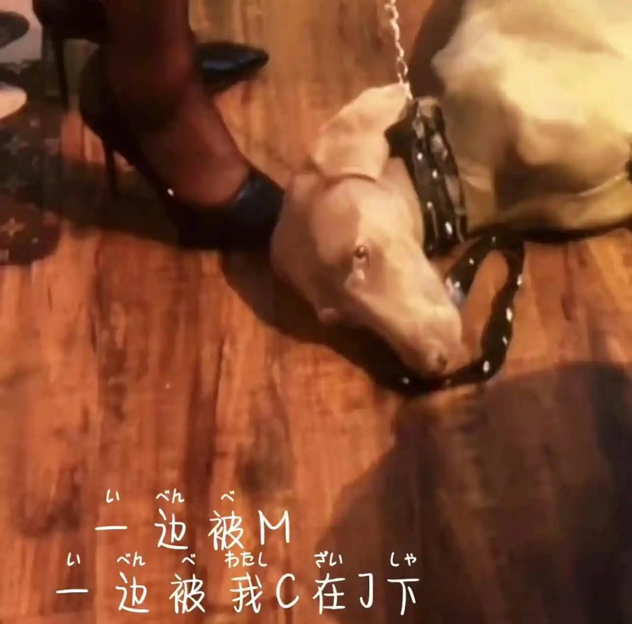 西檬之家-字母圈新手入圈指南