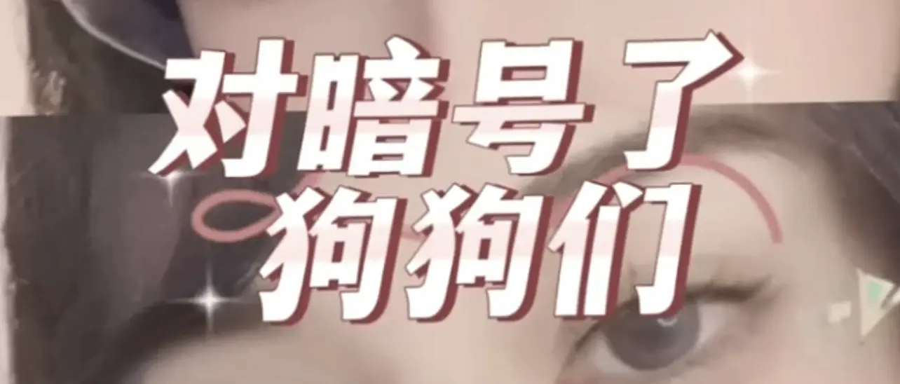 西檬之家-新人指南：如何安全探索BDSM亚文化实践