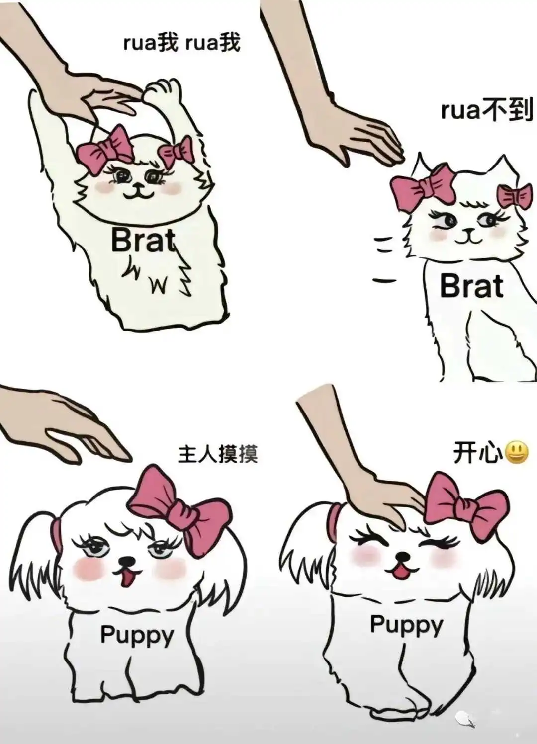 【西檬之家】- 字母圈 PE 权力交换全解析